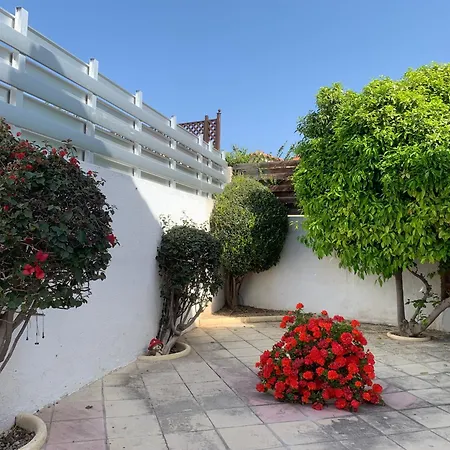 Sunbeam * קורל ביי